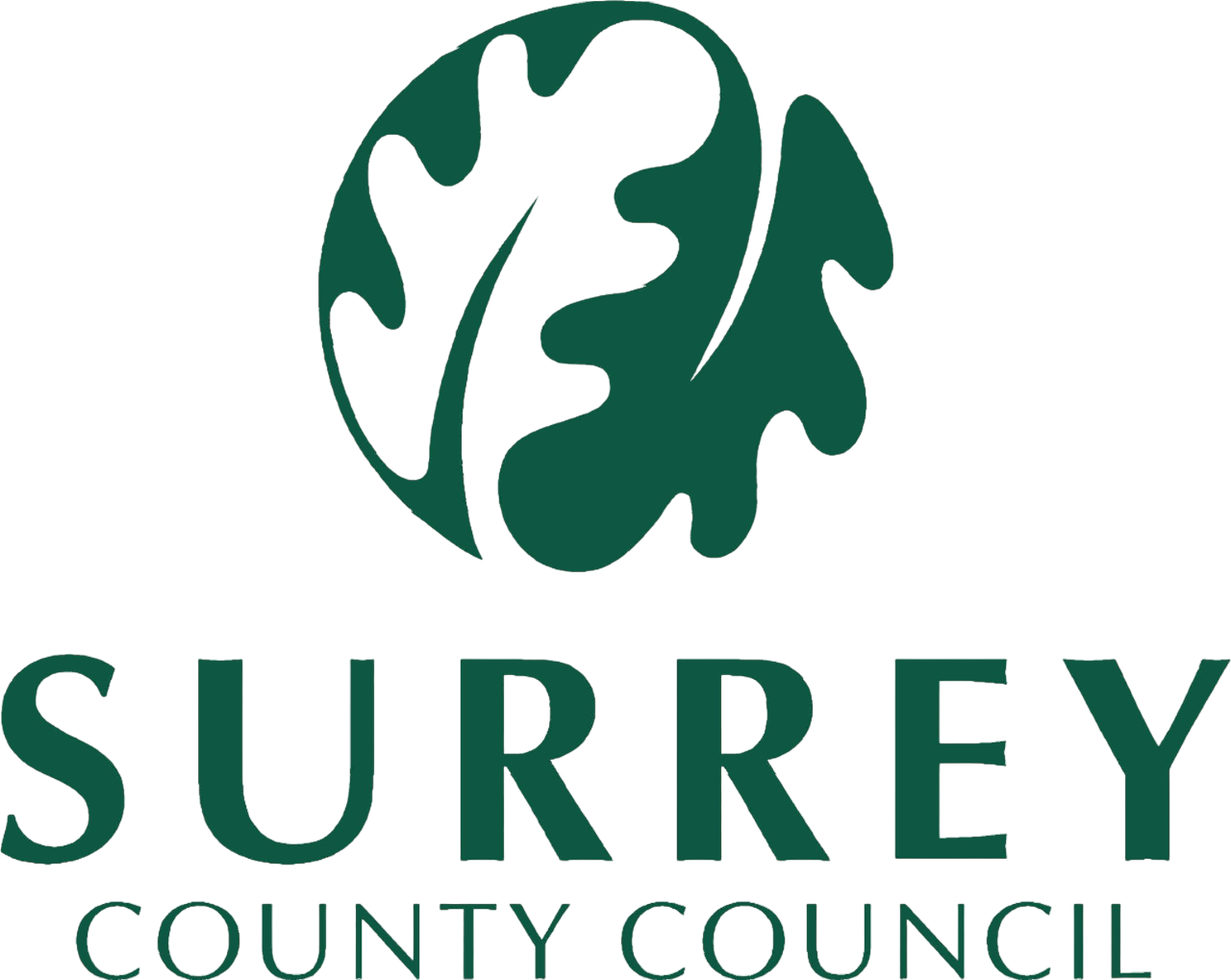 surrey county council